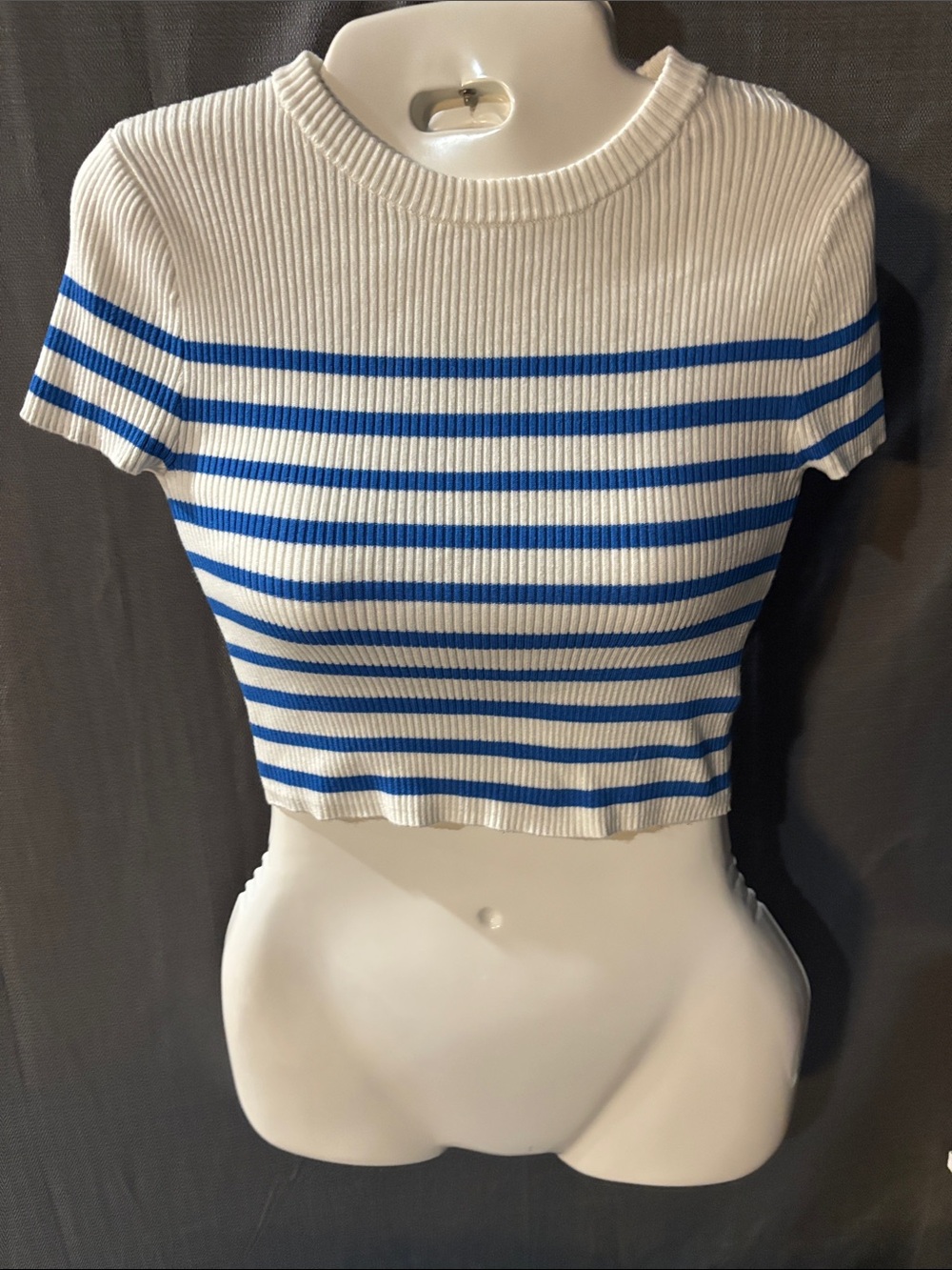 H&M White & Blue Striped Ribbed Crop Top